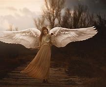 Image result for Winged Person Flying
