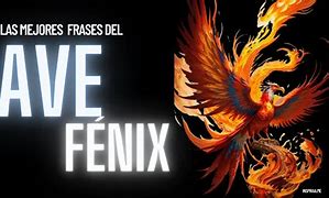Image result for Frases Sobre Mujeres Ave Fenix