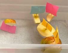Image result for Apple Boats