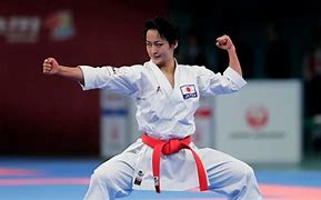 Image result for Karate Examples