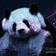 Image result for Cute Galaxy Panda Wallpaper