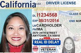 Image result for Real ID Delay