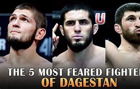 Image result for Dagestan UFC Fighters