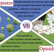 Image result for What Are the Differences Between Drugs and Medicines