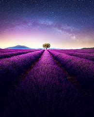 Image result for Beautiful iPhone Backgrounds