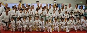 Image result for Karate