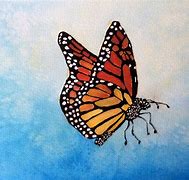 Image result for Realistic Butterfly