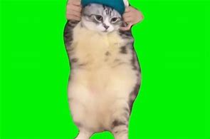Image result for Dancing Egyptian Cat Meme