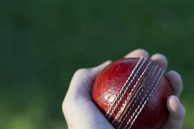 Image result for Cricket Equipment