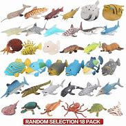 Image result for Sea Life Toys Nom Nom Toys