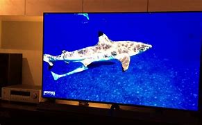 Image result for Panasonic Biggest TV