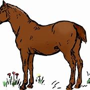 Image result for Types of Horse Bets