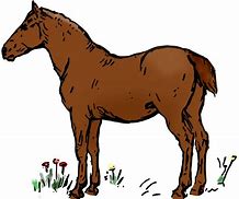 Image result for Horse Game PS1
