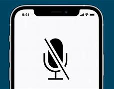 Image result for iPhone 13 FaceTime Mic Not Working