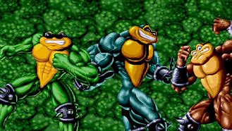 Image result for Battletoads Characters