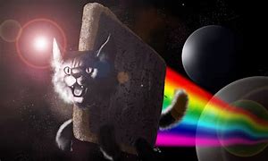 Image result for LSD Cat