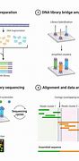 Image result for DNA Sequencing