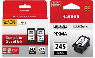 Image result for Canon Printer Ink 243