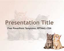 Image result for Cat PowerPoint Template