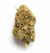 Image result for Lemon Popers Strain Weed