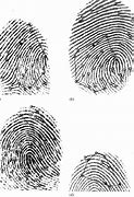 Image result for Partial Fingerprint Recognition