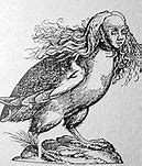 Image result for Harpy Anatomy