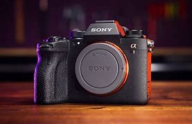 Image result for Sony A1 Ear