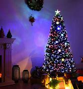 Image result for Fiber Optic Christmas Lights
