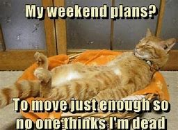 Image result for Plans for the Weekend Meme