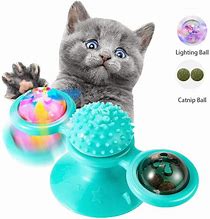 Image result for Fun Cat Toys