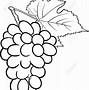 Image result for Fruit Clip Art Free Black and White