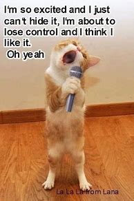Image result for So Excited Cat Meme
