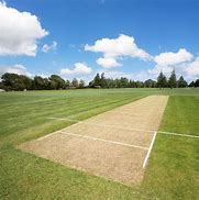 Image result for A Cricket Pitch