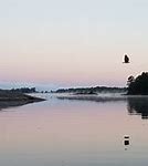 Image result for Petawawa Point Beach