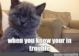 Image result for Your in Trouble Memes