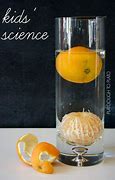Image result for 10 Science Experiments
