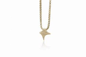 Image result for Thorn Necklace PNG