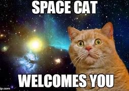 Image result for fun space cats meme