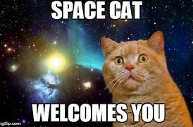 Image result for Funny Cat Space Memes