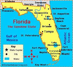 Image result for Fun Facts About Florida