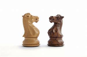 Image result for Chess Knight