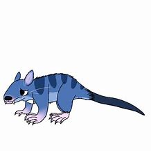 Image result for Water Opossum
