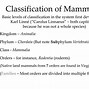 Image result for Mammals and Reptiles