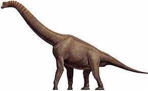 Image result for Braquiosaurio