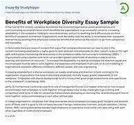 Image result for Diversity Essay for Job
