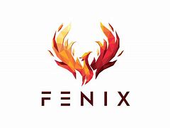 Image result for Fenix 5% Back