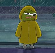 Image result for Pepe Rain