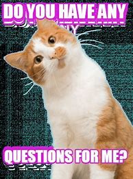 Image result for Any Questions Meme Animal