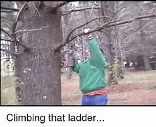 Image result for Climbing Ladder Meme