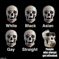 Image result for Skulls Race Meme